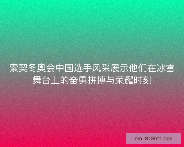 索契冬奥会中国选手风采展示他们在冰雪舞台上的奋勇拼搏与荣耀时刻